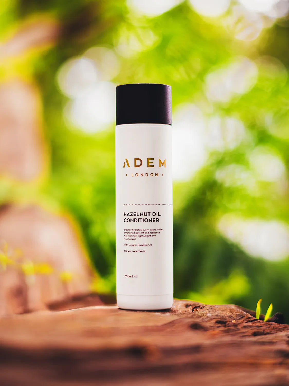 Pure Hazelnut Oil Conditioner image 5