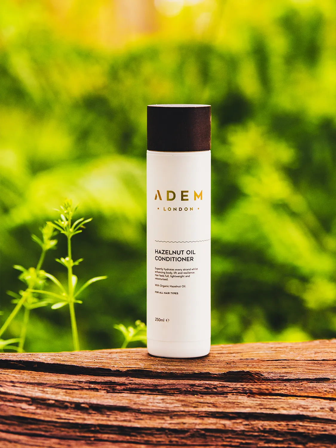 Pure Hazelnut Oil Conditioner image 3
